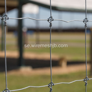 Hot-dip Galvanized Kraal Network Fence